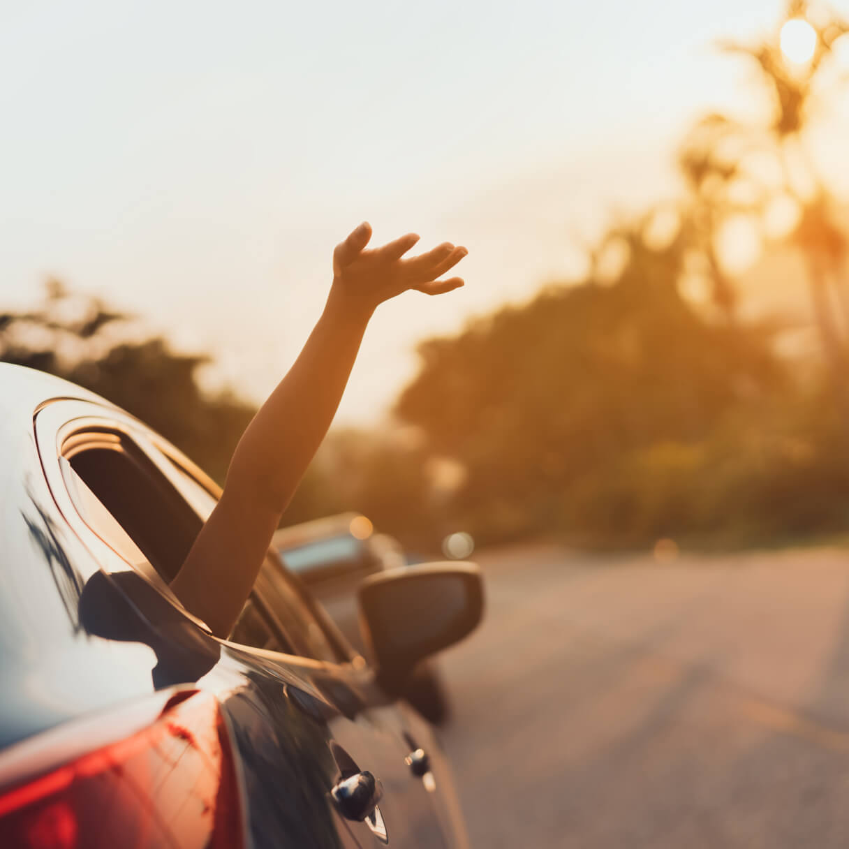 Arm waving out of the window of a car with a warm sunset behind palm trees.